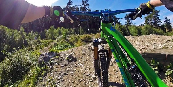 VTT ou VTC : quel vélo devez-vous choisir ?
